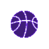 塞尔甲